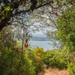 South Shore Ajaccio, Porticcio, Bastide-Style Villa, 6 bedrooms, Panoramic sea view, Walking distance to beaches