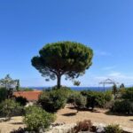 Exclusive, Monticello, villa, 3 bedrooms, sea view