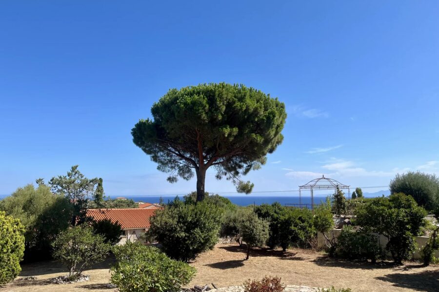 Exclusive, Monticello, villa, 3 bedrooms, sea view