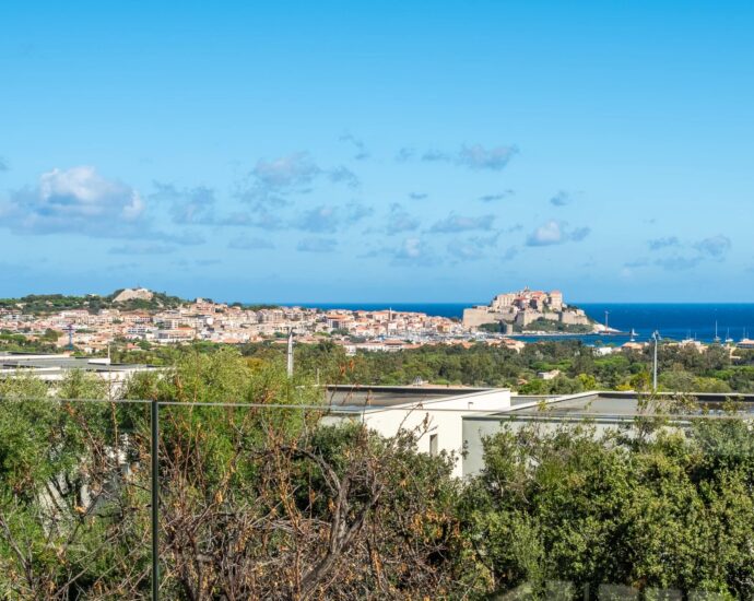 Calvi, Villa 6 chambres, Piscine, Vue mer panoramique, proche plage