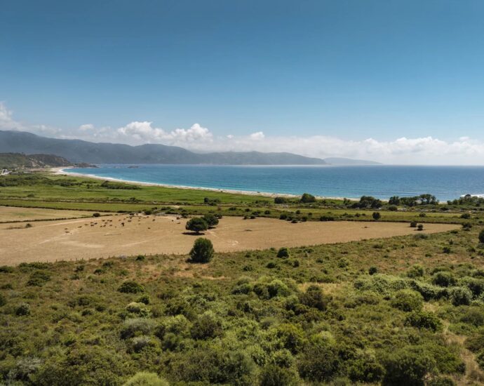 Villa d’architecte, 5 chambres, vue mer panoramique, piscine, plages à pied
