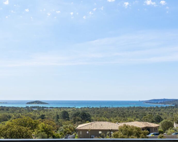 Porto-vecchio, villa 4 chambres, 1 dortoir enfants, piscine, vue mer, Villa Saviu