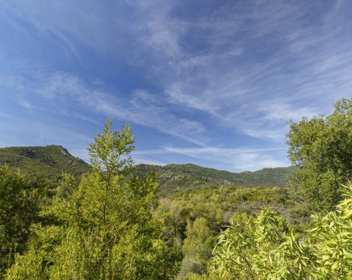 Favone, Villa, Vue montagne, 4 chambres, piscine,