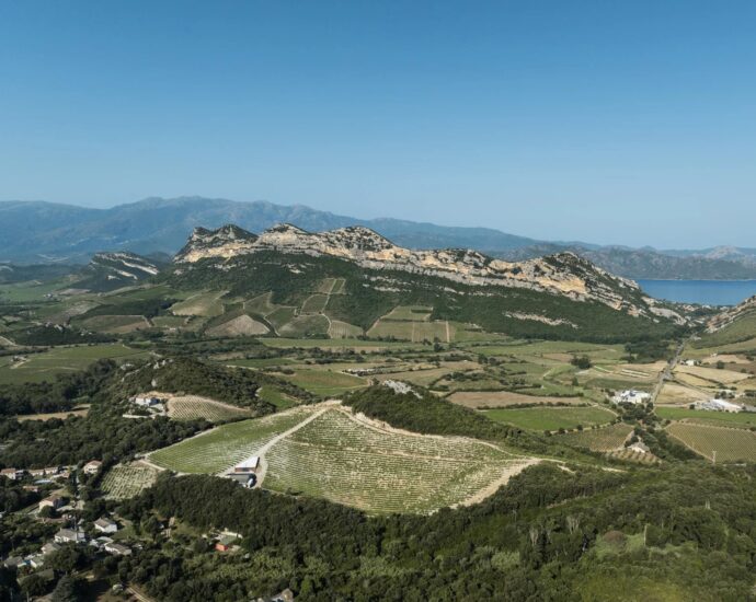 Saint-Florent, Barbaggio, 3 bedroom apartment with sea view, close to the beach