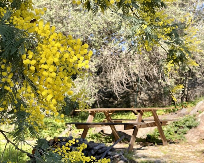 L’Ile Rousse, villa de plain-pied avec piscine sur terrain de 2.2 hectares, vue montagnes, proche plage