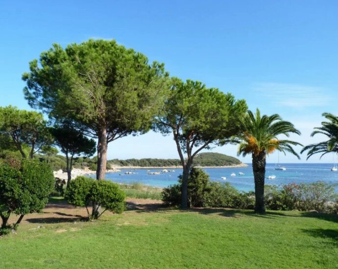 Exclusive, Capicciola, 5 bedrooms, sea view, close to the beach