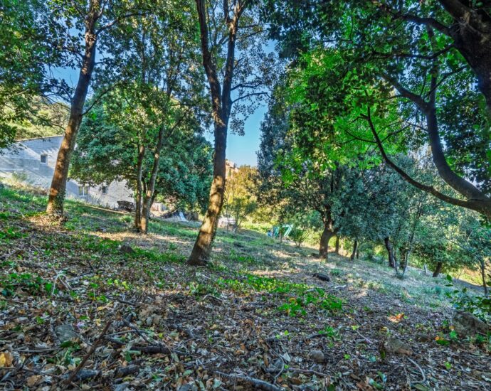 Balagne, Occhiatana, Buildable Plot, Close to L’Île-Rousse and Beaches