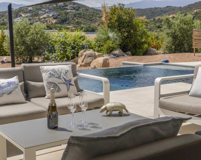 Arasu, villa 4 bedrooms, swimming-pool, Casa Alivu RL307