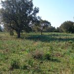 Porto-Vecchio, Piccovaggia, Terrain constructible, Permis de construire, Vue montagne, Aperçu mer