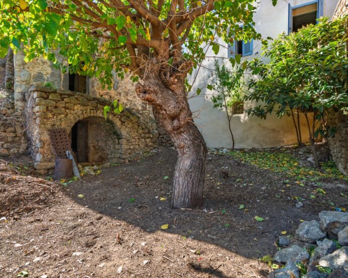 Exclusivity, Balagne, Occhiatana, Manor House to Renovate, 12 Rooms, Outbuilding, Mountain Views, Close to L’Île-Rousse and the Beaches