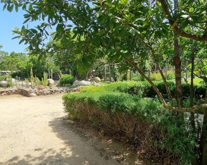 Cappiciola, Propriété pieds dans l’eau, 7 chambres, 2 piscines, accès direct à la plage, vue mer panoramique