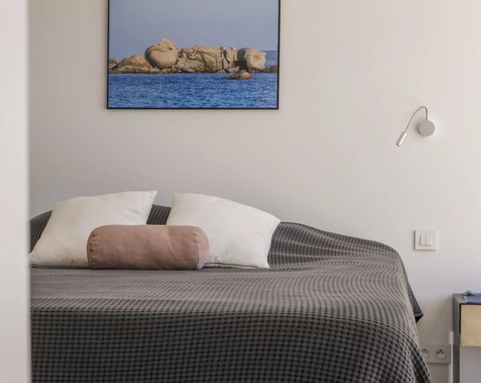 Arasu, villa 4 bedrooms, swimming-pool, Casa Alivu RL307