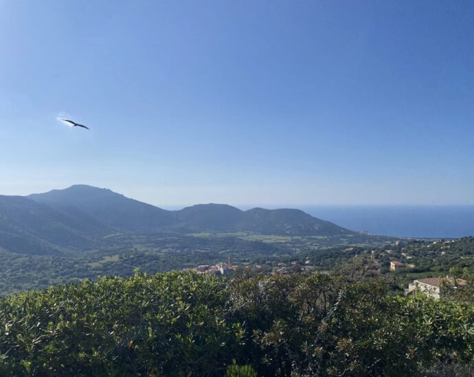 Sant’Antonino, villa type bergerie, 3 chambres, piscine, vue mer