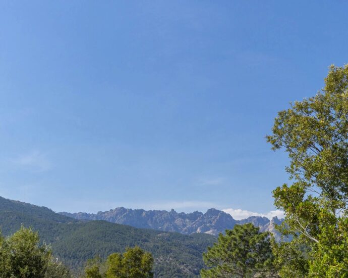 Exclusivité , Sainte-Lucie de Porto-Vecchio, Villa 4 chambres, piscine, vue montagnes, proche piscines naturelles et plages