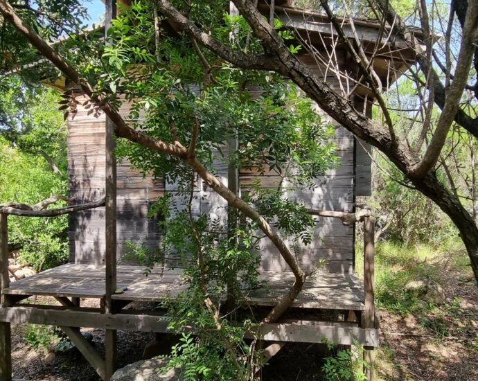 Cappiciola, Propriété pieds dans l’eau, 7 chambres, 2 piscines, accès direct à la plage, vue mer panoramique