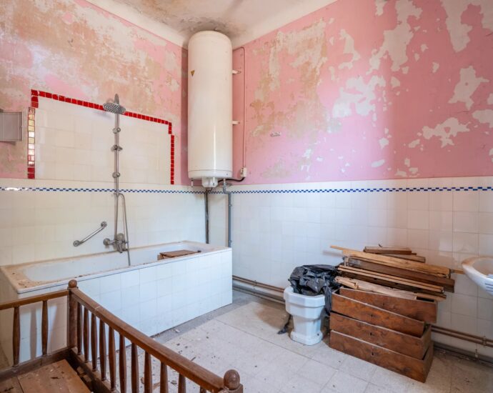 Santo-Pietro-di-Venaco, Château Pozzo-di-Borgo, 12 rooms, park panoramic mountain views