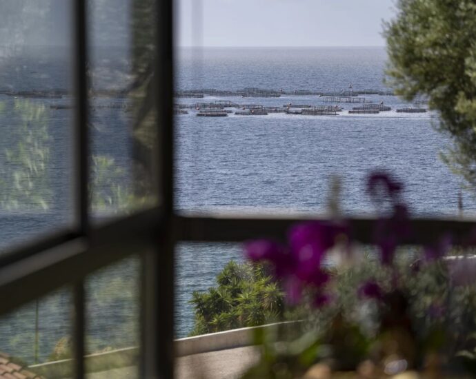 Ajaccio, Exclusivité, Villa, 5 chambres, vue mer panoramique, piscine, plage à pieds