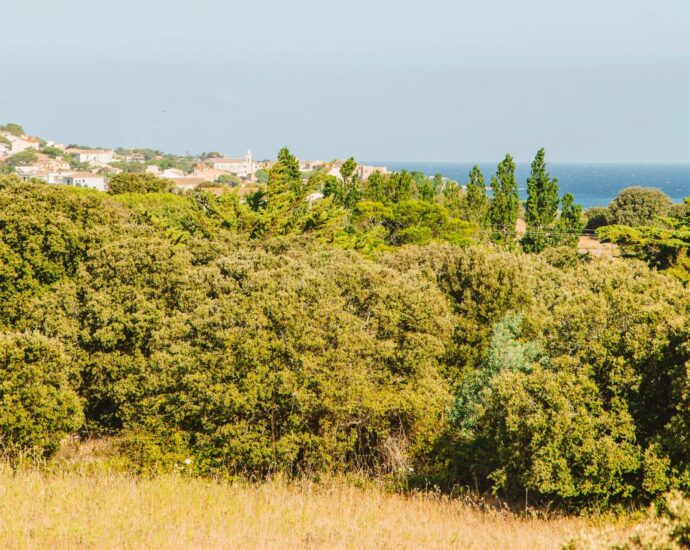 Balagne, Pigna, Villa 3 chambres, piscine, plage à pied