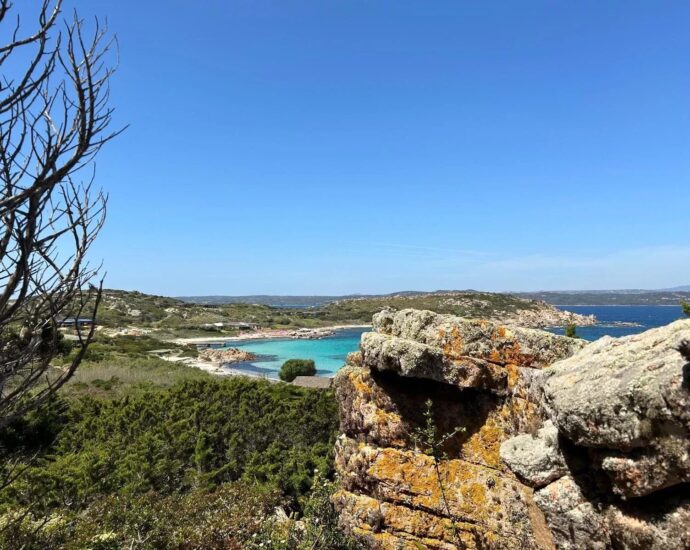 Cavallo island – Villa panoramic sea view – 3 bedrooms