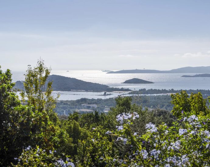 Porto -Vecchio, Arasu, Cirindinu, Villa vue mer panoramique, 3 chambres, piscine chauffée, proche plage