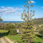 Palasca, Propriété, 5 chambres, piscine, vue panoramique campagne et montagnes