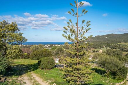 Palasca, Propriété, 5 chambres, piscine, vue panoramique campagne et montagnes