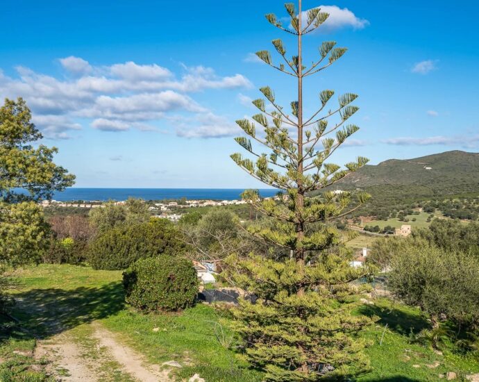 Palasca, Propriété, 5 chambres, piscine, vue panoramique campagne et montagnes