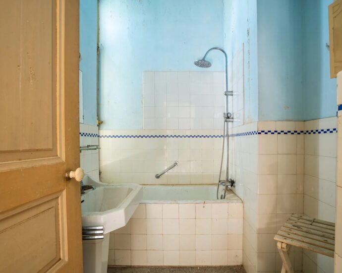 Santo-Pietro-di-Venaco, Château Pozzo-di-Borgo, 12 rooms, park panoramic mountain views