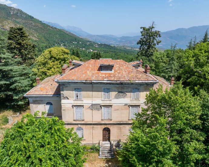 Santo-Pietro-di-Venaco, Château Pozzo-di-Borgo, 12 rooms, park panoramic mountain views