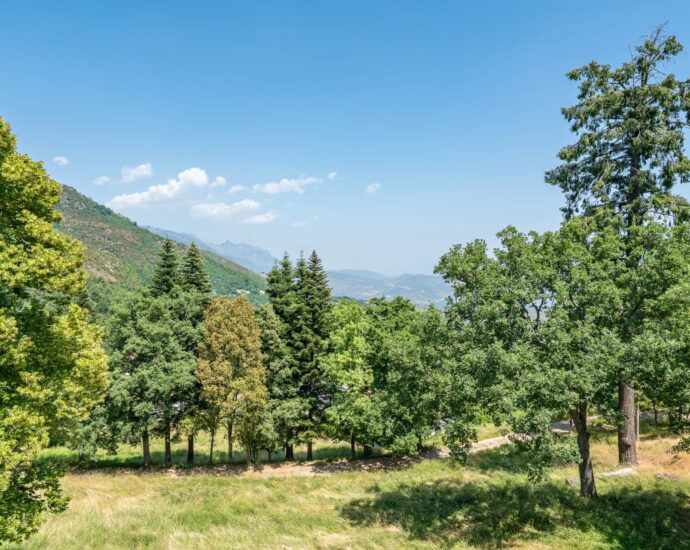 Santo-Pietro-di-Venaco, Château Pozzo-di-Borgo, 12 rooms, park panoramic mountain views