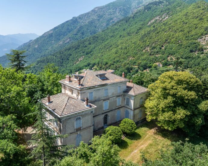 Santo-Pietro-di-Venaco, Château Pozzo-di-Borgo, 12 rooms, park panoramic mountain views