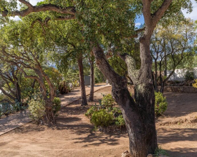 Exclusivité, Pinarello, Villa vue mer, 4 chambres, piscine, plage à pied