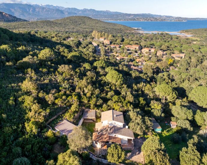 Exclusivité, Palombaggia, Villa, 4 chambres, vue dégagée, proche plage