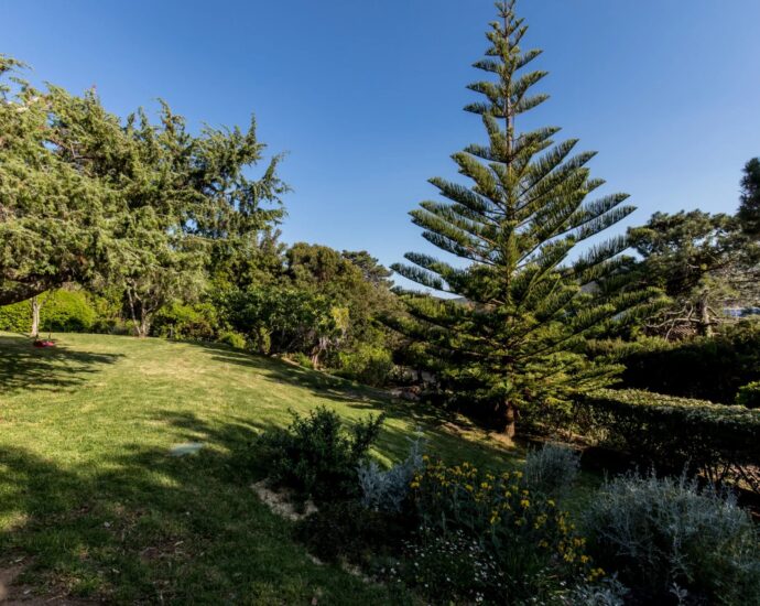 Cala Rossa, Benedettu, Panoramic Sea View Villa, 6 Bedrooms, Pool, Walking Distance to the Beach