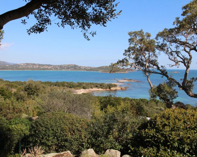 Cala Rossa, Domaine de la Tour, Villa vue mer panoramique, 7 chambres, piscine, plage à pied