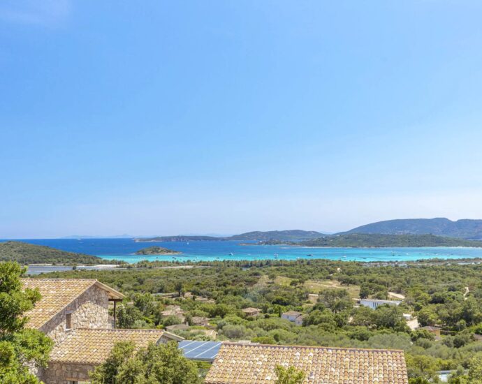 Villa 7 bedrooms, Arasu, commune of Saint-Cyprien swimming pool, sea view, beach on foot