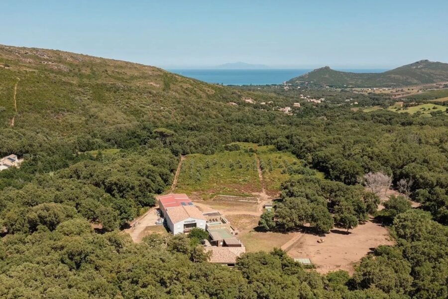 Cap Corse, Pietracorbara, Domaine privé, 6 logements, piscine et espaces extérieurs, projet résidentiel ou touristique, proche plage