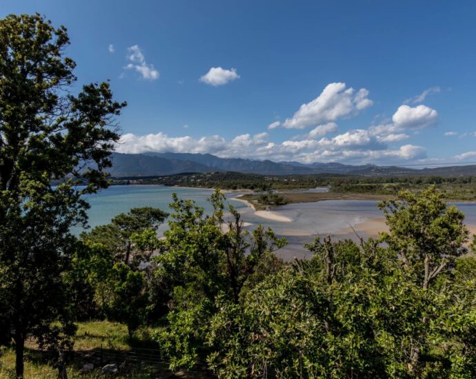 Cala Rossa, Benedettu, Villa vue mer panoramique, 6 chambres, piscine, plage à pied