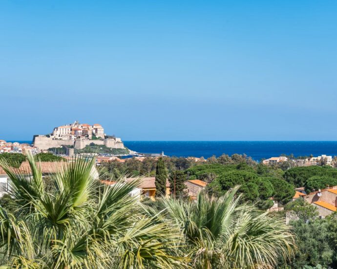Calvi, Villa, 4 chambres, Vue mer, Piscine, Proche plage