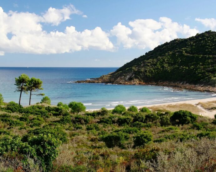 Solenzara, Villa 4 Chambres, 2 appartements indépendants, Piscine, Vue mer et montagne panoramique, proche plage