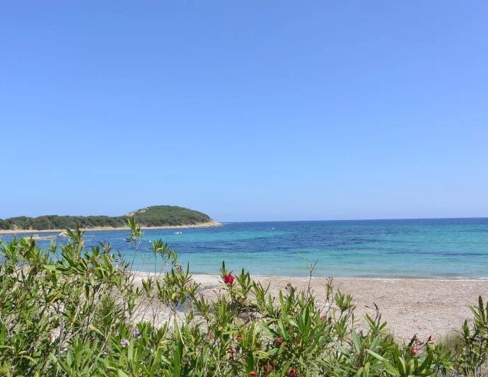 Domaine de la Capicciola, villa de 5 chambres, piscine, vue mer et plage à pied