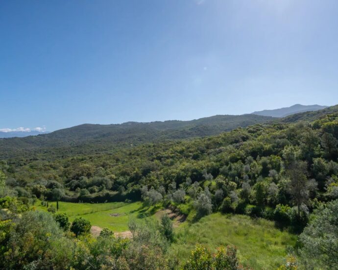 Porticcio, South Shore of Ajaccio – Villa – 7 Rooms – 4 Bedrooms