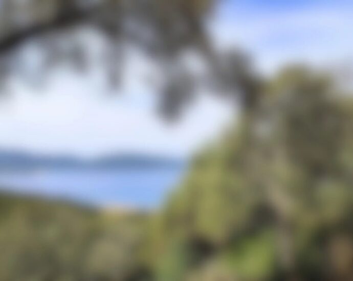 Off Market, South Corsica, 4-Star Campsite, Swimming Pool, Walking Distance to the Beach, Sea View