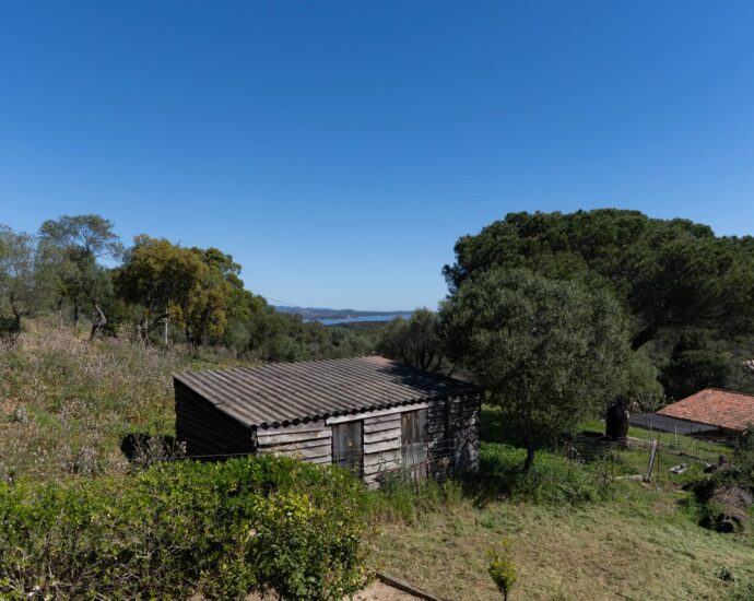 Porto-Vecchio, Piccovaggia, Farmhouse‑style Villa, 4 Bedrooms, Private Estate, Close to the Beach