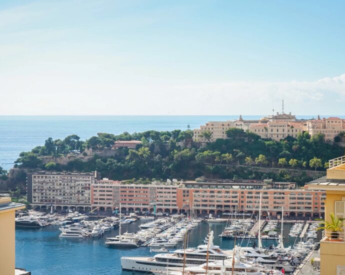 Monte-Carlo, central area, sea and Rock view apartment, 2 bedrooms, close to amenities.