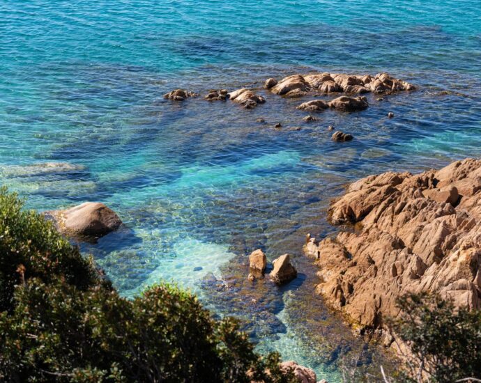 Exclusive, Ajaccio, Route des Sanguinaires , Panoramic sea view apartment with 2 bedrooms, terrace, and within walking distance of the beach.