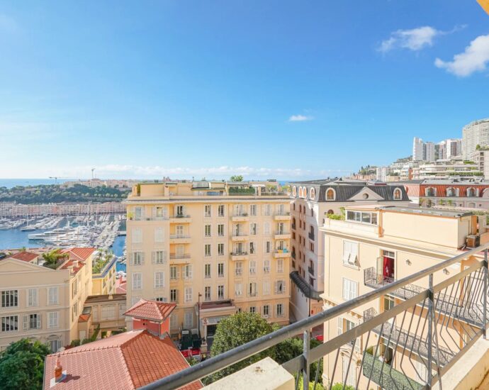 Monte-Carlo, central area, sea and Rock view apartment, 2 bedrooms, close to amenities.
