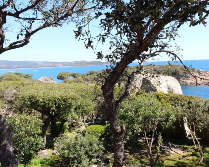 Porto Vecchio, Domaine de Cala Rossa, villa 3 chambres, pied dans l&rsquo;eau