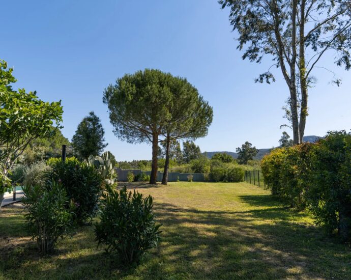 Exclusivity – Bocca Del Oro – Architect’s villa