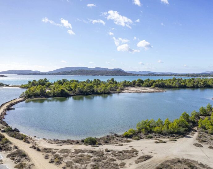 Arasu, Villa contemporaine, 5 chambres, piscine, vue mer, plage à pied